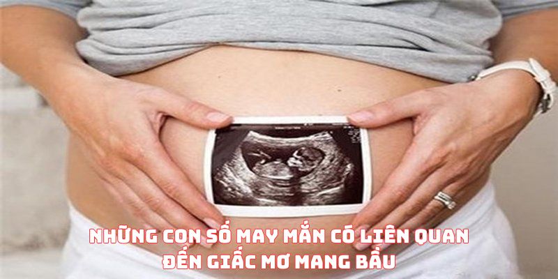 Những con số may mắn về giấc mơ mang bầu